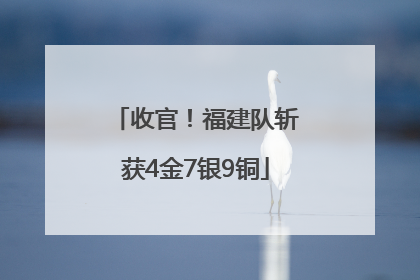 收官！福建队斩获4金7银9铜