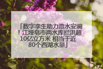 数字孪生助力澧水安澜！江垭皂市两水库拦洪超10亿立方米 相当于近80个西湖水量