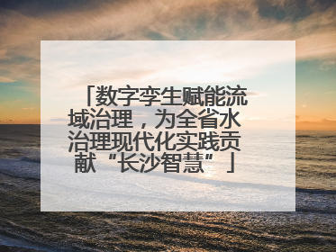 数字孪生赋能流域治理，为全省水治理现代化实践贡献“长沙智慧”