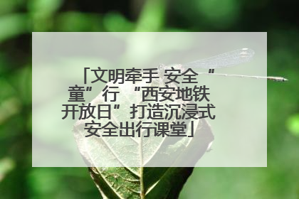 文明牵手 安全“童”行 “西安地铁开放日”打造沉浸式安全出行课堂