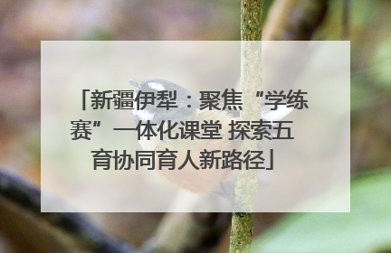 新疆伊犁：聚焦“学练赛”一体化课堂 探索五育协同育人新路径