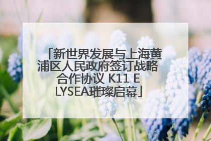 新世界发展与上海黄浦区人民政府签订战略合作协议 K11 ELYSEA璀璨启幕