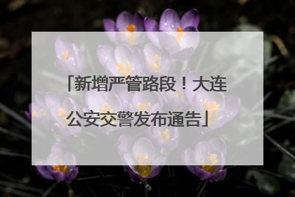 新增严管路段！大连公安交警发布通告