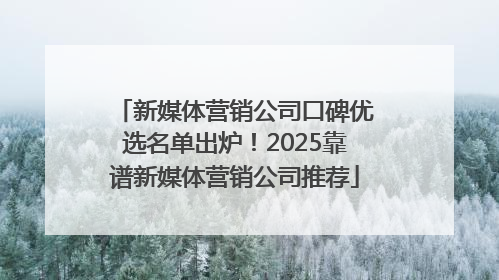 新媒体营销公司口碑优选名单出炉！2025靠谱新媒体营销公司推荐