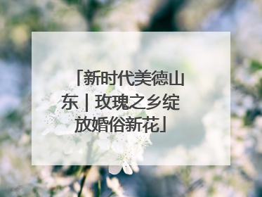 新时代美德山东｜玫瑰之乡绽放婚俗新花