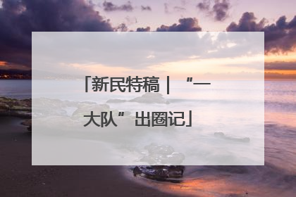 新民特稿｜“一大队”出圈记