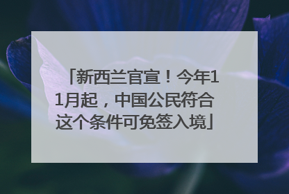 新西兰官宣！今年11月起，中国公民符合这个条件可免签入境