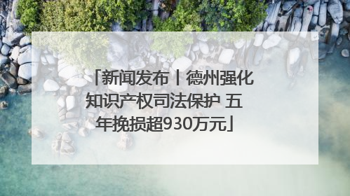 新闻发布丨德州强化知识产权司法保护 五年挽损超930万元