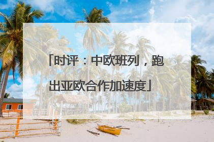 时评：中欧班列，跑出亚欧合作加速度