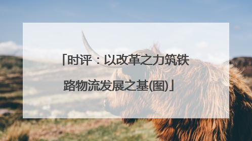 时评：以改革之力筑铁路物流发展之基(图)