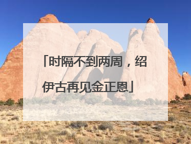 时隔不到两周，绍伊古再见金正恩