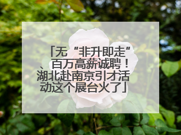无“非升即走”、百万高薪诚聘！湖北赴南京引才活动这个展台火了
