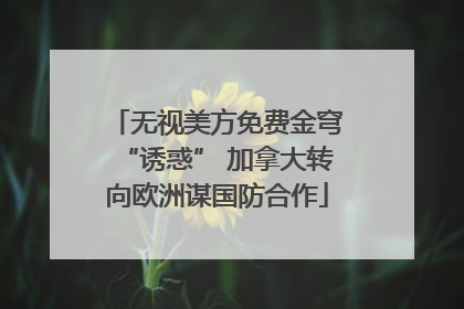 无视美方免费金穹“诱惑” 加拿大转向欧洲谋国防合作