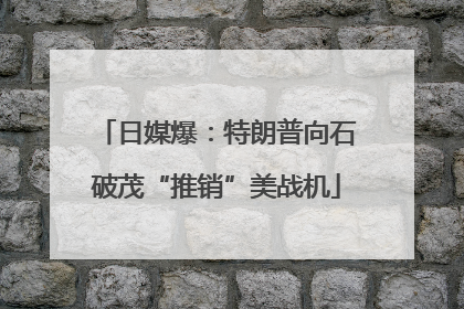日媒爆：特朗普向石破茂“推销”美战机