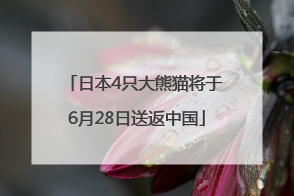 日本4只大熊猫将于6月28日送返中国