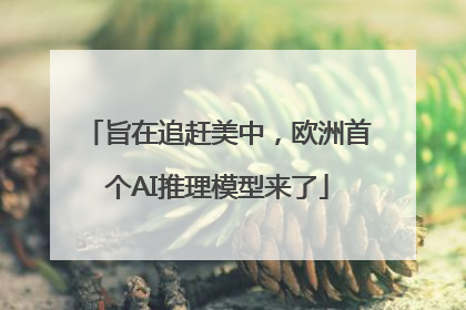 旨在追赶美中，欧洲首个AI推理模型来了