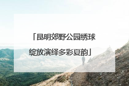 昆明郊野公园绣球绽放演绎多彩夏韵