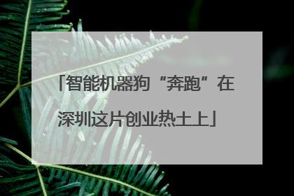 智能机器狗“奔跑”在深圳这片创业热土上