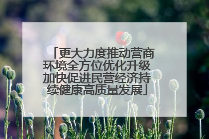 更大力度推动营商环境全方位优化升级加快促进民营经济持续健康高质量发展