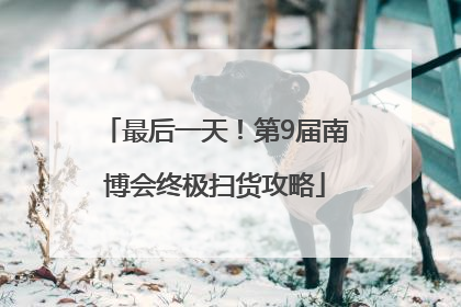 最后一天！第9届南博会终极扫货攻略