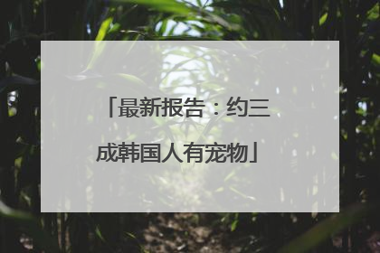 最新报告：约三成韩国人有宠物