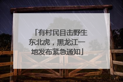 有村民目击野生东北虎，黑龙江一地发布紧急通知