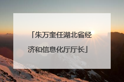 朱万奎任湖北省经济和信息化厅厅长