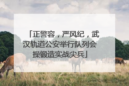 正警容，严风纪，武汉轨道公安举行队列会操锻造实战尖兵