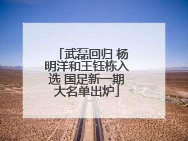 武磊回归 杨明洋和王钰栋入选 国足新一期大名单出炉