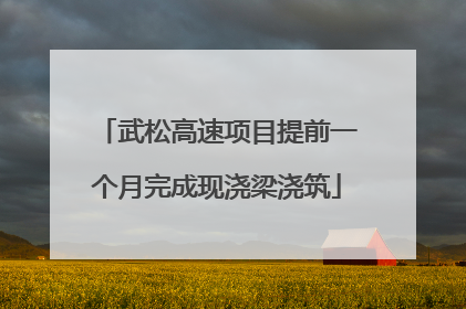 武松高速项目提前一个月完成现浇梁浇筑