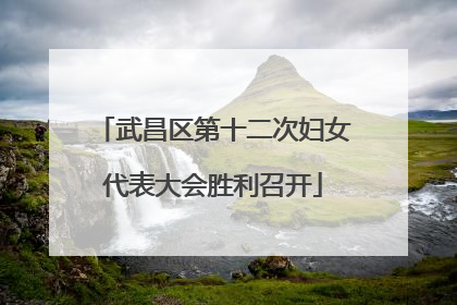 武昌区第十二次妇女代表大会胜利召开