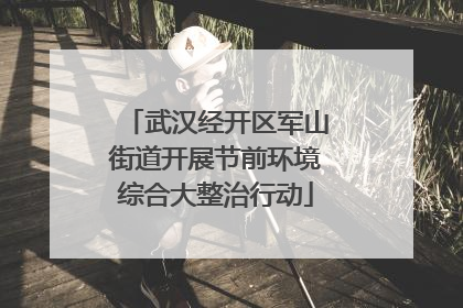 武汉经开区军山街道开展节前环境综合大整治行动