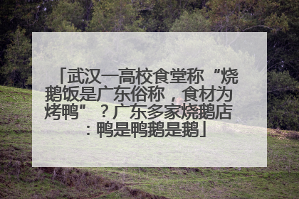 武汉一高校食堂称“烧鹅饭是广东俗称，食材为烤鸭”？广东多家烧鹅店：鸭是鸭鹅是鹅