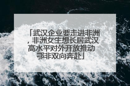 武汉企业要走进非洲，非洲女生想长居武汉 高水平对外开放推动鄂非双向奔赴