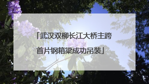 武汉双柳长江大桥主跨首片钢箱梁成功吊装