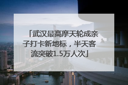 武汉最高摩天轮成亲子打卡新地标，半天客流突破1.5万人次