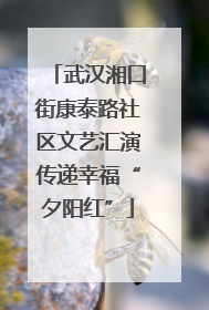 武汉湘口街康泰路社区文艺汇演传递幸福“夕阳红”