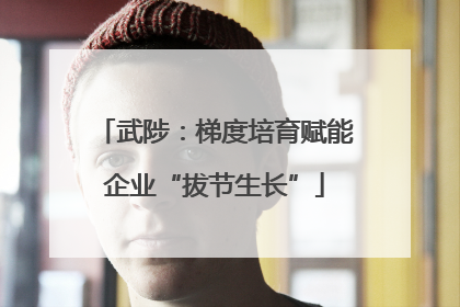 武陟：梯度培育赋能企业“拔节生长”