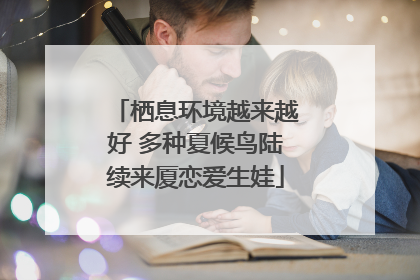 栖息环境越来越好 多种夏候鸟陆续来厦恋爱生娃