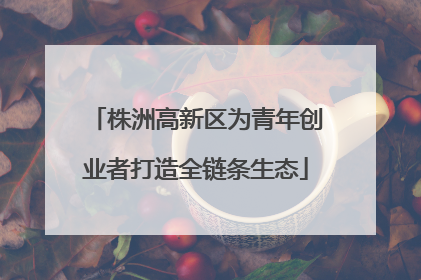 株洲高新区为青年创业者打造全链条生态