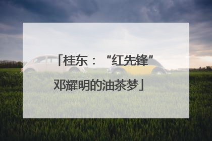 桂东：“红先锋”邓耀明的油茶梦