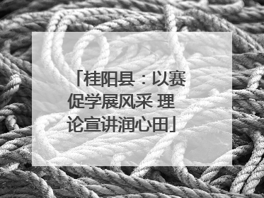 桂阳县：以赛促学展风采 理论宣讲润心田
