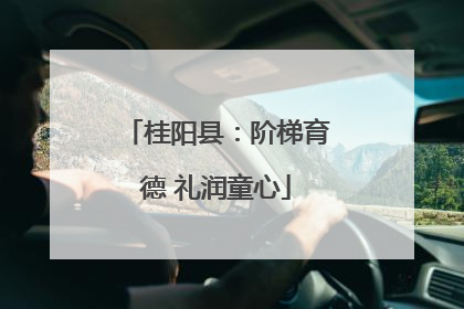 桂阳县：阶梯育德 礼润童心