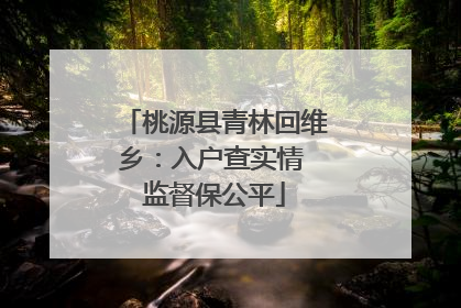 桃源县青林回维乡：入户查实情 监督保公平