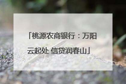 桃源农商银行：万阳云起处 信贷润春山