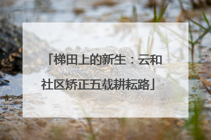 梯田上的新生：云和社区矫正五载耕耘路