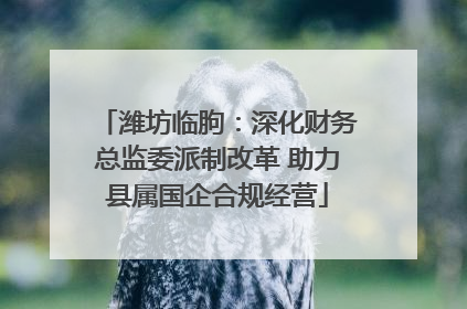 潍坊临朐：深化财务总监委派制改革 助力县属国企合规经营