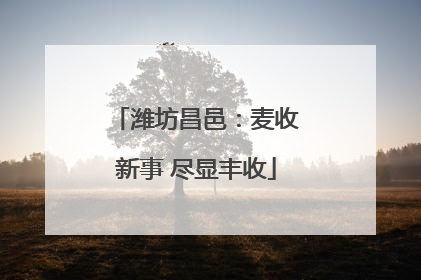 潍坊昌邑：麦收新事 尽显丰收