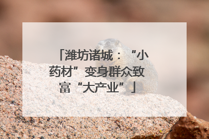 潍坊诸城：“小药材”变身群众致富“大产业”