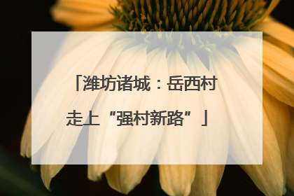 潍坊诸城：岳西村走上“强村新路”